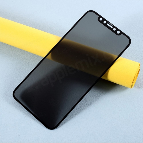 Tvrdené sklo pre Apple iPhone Xr / 11 - 3D - súkromie - 0,3 mm
