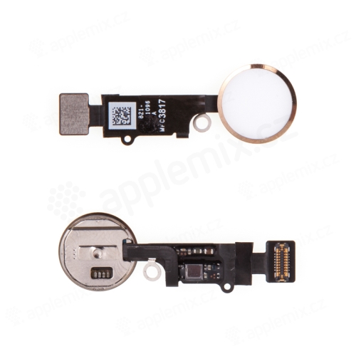 Obvod tlačítka Home Button pro Apple iPhone 8 / 8 Plus - bílé / zlaté - kvalita A+