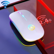 Myš optická bezdrátová - Bluetooth 5.0 / 2,4 GHz připojení - nabíjecí - nízký profil - bílá