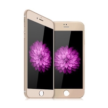 Tvrzené sklo DEVIA (Tempered Glass) pro Apple iPhone 6 Plus / 6S Plus - zlatý rámeček + zadní fólie - 0,26mm