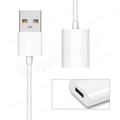 Nabíjecí kabel pro Apple Pencil / redukce USB na Lightning female