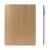 Pouzdro + Smart Cover pro Apple iPad 2. / 3. / 4.gen. - zlaté průhledné - elegantní textura
