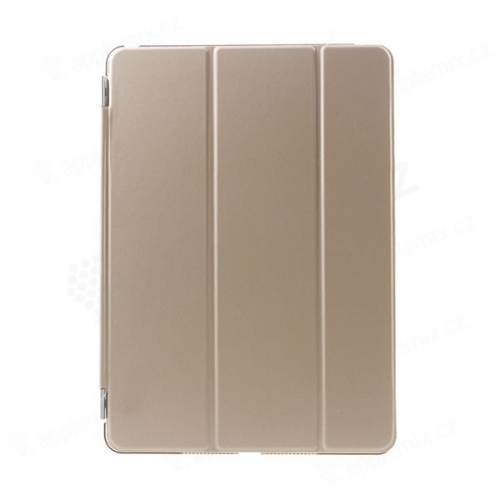 Ochranné pouzdro s odnímatelným Smart Coverem pro Apple iPad Air 2 - matné - zlaté